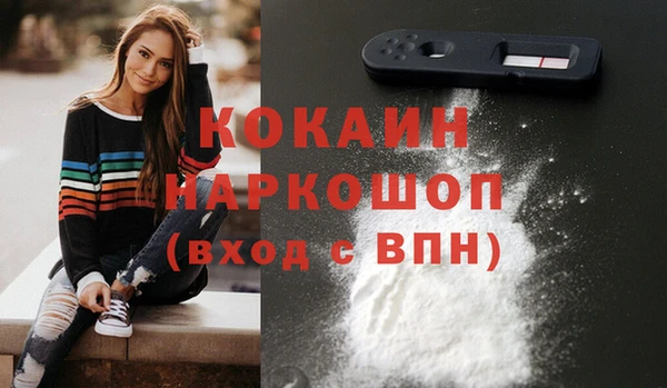 дживик Каменка