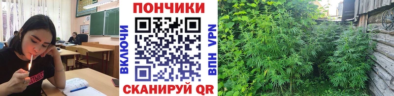 Купить где  Канск  МАРИХУАНА THC 21% 